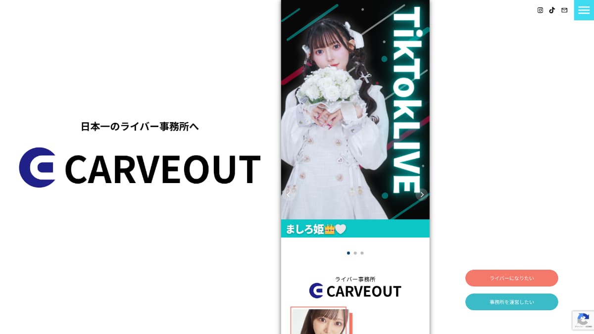 カーブアウト